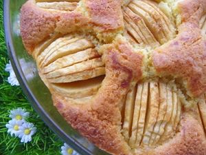 GATEAU AUX POMMES AU TM5 ( thermomix)