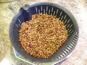 SALADE DE LENTILLES VERTES (Thermomix)