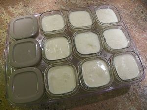 YOURT DES NEIGES (thermomix)