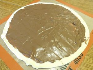 SAPIN FEUILLETE A LA PATE A TARTINER (thermomix)
