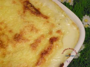 CANNELLONI PHILADELPHIA POULET ET CHAMPIGNONS (thermomix)