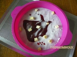 GATEAU RENVERSE A L'ANANAS (thermomix)