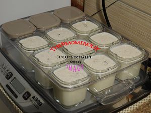 YAOURT A LA VANILLE A LA MULTIDELICE (thermomix)