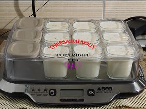 YAOURT A LA VANILLE A LA MULTIDELICE (thermomix)