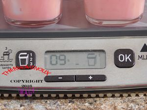 PETITS SUISSES A LA FRAISE A LA MULTIDELICE (thermomix)