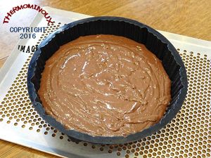 GATEAU AUX BARRES LION (thermomix)