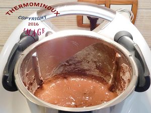 GATEAU AUX BARRES LION (thermomix)