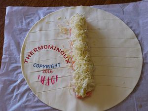 FEUILLETÉ TRESSÉ AU SAUMON ET POIREAUX (thermomix)