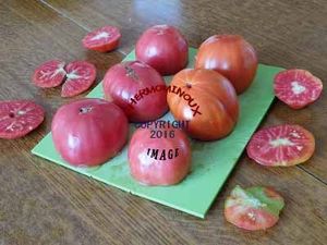 TOMATES FARCIES (thermomix)