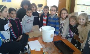 Des jardiniers en herbe