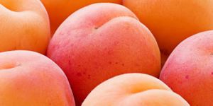 COMPOTEE D'ABRICOTS FRAIS A LA CARDAMOmE ET VANILLE