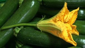 Gratin de courgettes au riz