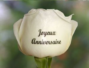 Anniversaire du blog.