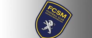 Peugeot veut vendre le FC Sochaux-Montbéliard !