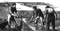 L’ostréiculture en Bretagne