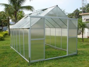 Small Polycarbonate greenhouse
