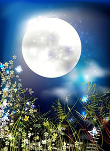 Pleine Lune de neige