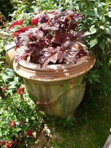 Le "Clos Fleuri" en octobre 2014