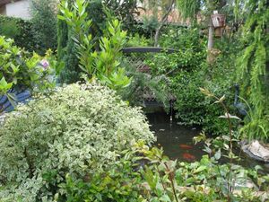 Mon Clos Fleuri en Novembre