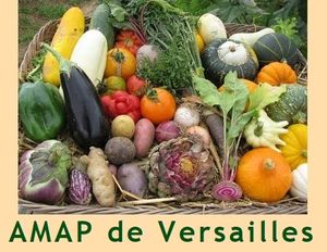 Pour une agriculture bio et durable : des Versaillais se mobilisent