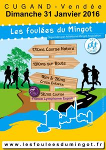 FOULEES DU MINGOT RESULTATS