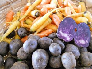 Quelques idées de Salades & Plats pour Enfants