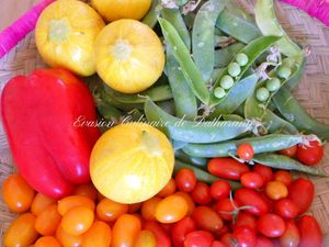 Quelques idées de Salades & Plats pour Enfants