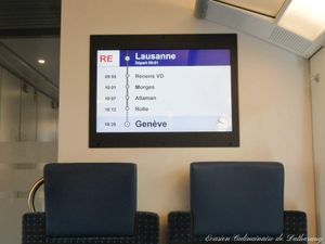 Escapades au Fil des Saisons : Été (part 2)