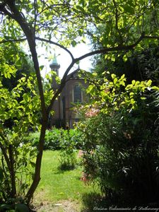 Escapades au Fil des Saisons : Été (part 3)