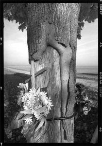 Verley Olivier
