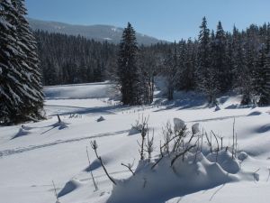Glisse et skating dans le Vercors ... féérie d'hiver