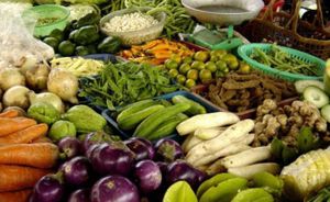 Une autosuffisance alimentaire très attendue