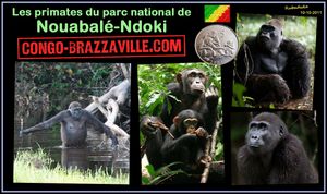 Le parc Nouabale Ndokki