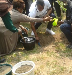 ©Sassou N'Guesso plantant son Mentalis