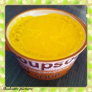 Velouté carottes poireau kiri