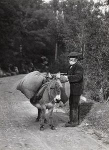 L’Ane du Charbonnier