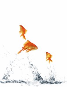 Méthode GTD: l'Art de bien faire les choses (2)