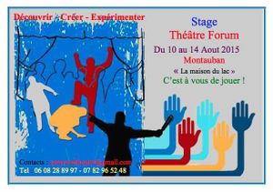 Formation au "Théâtre Forum" Aout 2015