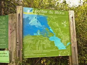 Première balade avec le siège vélo Hamax Siesta sur le sentier du littoral du Teich