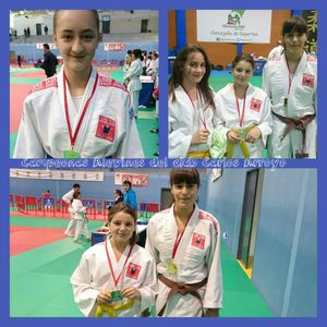 Resultados Campeonato Alevín de Madrid