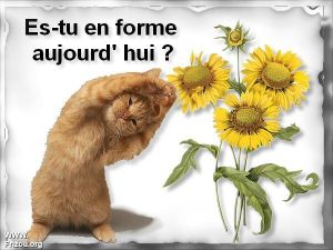 ADIEU AU MONDE