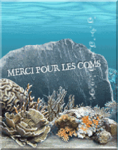 l'amitié