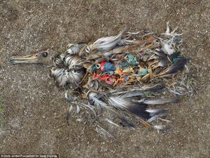 C EST UN MASSACRE EN MER ORGANISE