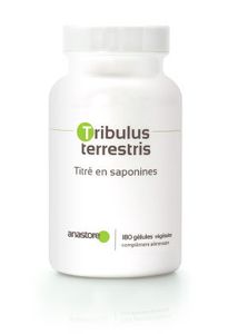 Info ou Intox : Le tribulus pour augmenter sa testostérone
