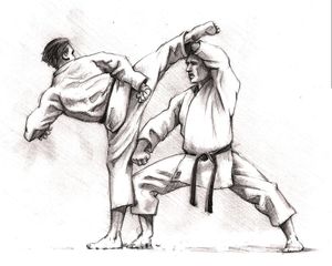 Les régimes à suivre pour les sportifs