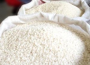 ARROZ NIR DEL BAJO PIURA
