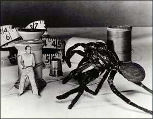 L'Homme qui rétrécit (The Incredible Shrinking Man) de Jack Arnold