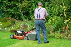 Ce qu’il faut savoir sur les travaux de jardinage