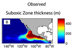 Le zone anossiche nell'oceano Pacifico