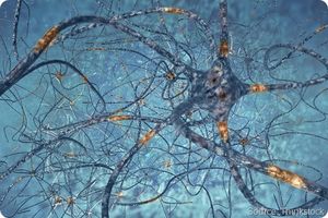Un neurone con una singola mutazione